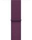 Apple Watch Series 10 GPS + Cellular 42mm Rose Gold Aluminum Case w. Plum S. Loop (MWXC3)