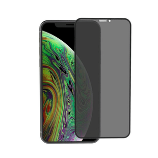 Захисне скло iPhone 13 mini ZK 2.5D Anti Peep 0.26mm + (Задня плівка в комплекті) ( Black )