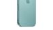 Apple iPhone 16 256Gb Teal (MYEJ3)