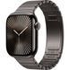 Apple Watch Series 10 GPS + Cellular 42mm Slate Titanium Case with Slate Link Bracelet (MXMD3)