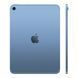 Apple iPad 11" 2025 Wi-Fi + Cellular 256GB Blue (MD7L4)
