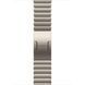 Apple Watch Series 10 GPS + Cellular 46mm Natural Titanium Case with Natural Link Bracelet (MX163)