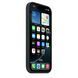 Чохол для iPhone 16 Pro Silicone Case with MagSafe (Black) (MYYJ3)