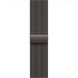 Apple Watch Series 10 GPS + Cellular 42mm Slate Titanium Case w. Slate Milanese Loop (MX053)