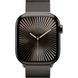 Apple Watch Series 10 GPS + Cellular 42mm Slate Titanium Case w. Slate Milanese Loop (MX053)