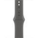 Apple Watch Series 10 GPS + Cellular 42mm Natural Titanium Case w. Stone Grey Sport Band - M/L (MWXE3)