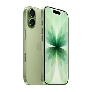 LikeNew Apple iPhone 17 256Gb eSIM Sage (MG4A4)